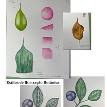 O meu Curso de Ilustração botânica com aquarela. Traditional illustration, Fine Arts, Painting, Drawing, Watercolor Painting, and Botanical Illustration project by sandradiasbranco - 01.26.2022