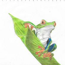 El Color de la Naturaleza. Ilustração tradicional projeto de Adriana Botero Velez - 26.01.2022