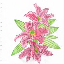 Flores . Ilustrație tradițională de Adriana Botero Velez - 01.26.2022