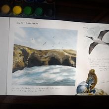 Cuaderno de viaje en acuarela, Islas Ballestas en Perú por Alessandra Pinto. Un projet de Aquarelle, Peinture, Beaux Arts, Créativité, Dessin, Réseaux sociaux et Illustration traditionnelle de Alessandra Pinto Apaza - 21.01.2022