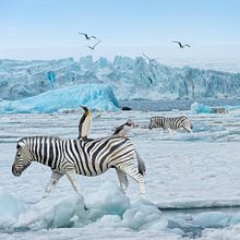 What's happening here. Un progetto di Fotomontaggio di leo_mariotte - 26.01.2022