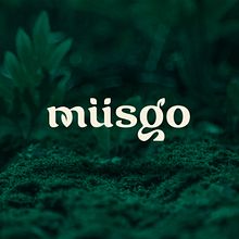 Müsgo. Un proyecto de Diseño gráfico, Br, ing e Identidad, Diseño Web, Ilustración tradicional y Diseño de logotipos de Artídoto Estudio - 28.01.2022