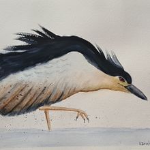 Meu projeto do curso: Aquarela naturalista com expressão e personalidade. Un projet de Illustration traditionnelle, Aquarelle et Illustration naturaliste de epinheiro2601 - 28.01.2022