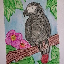 Pappagallo cenerino. Il mio progetto del corso : "Dallo sketch sul quaderno all'illustrazione finale". Ilustração tradicional, Esboçado, Criatividade, Desenho, e Sketchbook projeto de Maria Elisa Frau - 28.01.2022