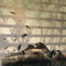 nature death. Design, Traditional illustration, Motion Graphics, Photograph, Animation, Fine Arts, Graphic Design, Painting, Photograph, Post-production, Collage, Video, Character Animation, Vector Illustration, 2D Animation, Creativit, Digital Illustration, Concept Art, Video Editing, Filmmaking, Audiovisual Post-production, Digital Design, Photomontage, and Matte Painting project by Pilar García - 01.28.2022