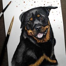 Mi Proyecto del curso: Retratos expresivos de animales en acuarela. Un proyecto de Ilustración tradicional, Pintura a la acuarela, Dibujo realista e Ilustración naturalista				 de Miriam JT - 28.01.2022