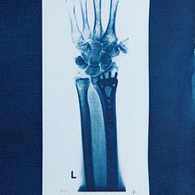 'Honoring'. Proyecto final de Cianotipia. Arts, Crafts, Fine Arts, Printing, DIY, and Film Photograph project by Gabby Villalba - 01.29.2022