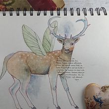 Mein Kursprojekt: Tierillustrationen: Bringe das Tierreich in dein Skizzenbuch. Un progetto di Illustrazione tradizionale, Collage, Sketchbook e Illustrazione naturalistica di Nicole Bertschus - 29.01.2022