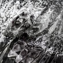 Mijn project van de cursus: Geheimen van fotomontage en creatief retoucheren. Photograph, Photograph, Post-production, VFX, Photo Retouching, Fine-Art Photograph, Photographic Composition, and Photomontage project by Ton Veldman - 04.16.2019