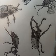 My project in Daily Sketching for Creative Inspiration course. Traditional illustration, Sketching, Creativit, Drawing, and Sketchbook project by pio-tr - 01.29.2022