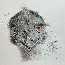 My project in Expressive Animal Portraits in Watercolor course. Projekt z dziedziny Trad, c, jna ilustracja, Malowanie akwarelą, R, sunek realist, czn, Ilustracja naturalist i czna użytkownika Johanna Reid - 29.01.2022
