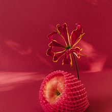 Fruit Still Life. Un progetto di Fotografia di Victoria Jane - 29.01.2022