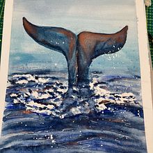 Naturalist Illustration Techniques: Whales in Watercolor course. Traditional illustration, Arts, Crafts, Painting, and Watercolor Painting project by Louise Duffett - 01.27.2022