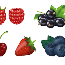 bayas. Vector Illustration, and Traditional illustration project by Anna Samsonova - 01.30.2022