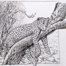 Nature with ink. Sketching, Drawing, Artistic Drawing, Sketchbook, Ink Illustration, and Naturalistic Illustration project by sherlockmang - 01.30.2022
