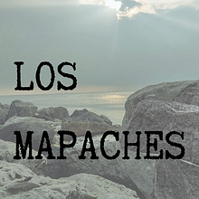 Los mapaches. Writing project by Aaron Zamora - 01.31.2022