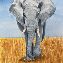 Water Color Paintings of Animals. Painting project by Nancy Geyer - 01.31.2022