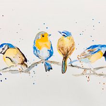 My project in Artistic Watercolor Techniques for Illustrating Birds course. Projekt z dziedziny Trad, c, jna ilustracja, Malowanie akwarelą, R, sunek realist, czn, Ilustracja naturalist i czna użytkownika vacker8 - 29.01.2022