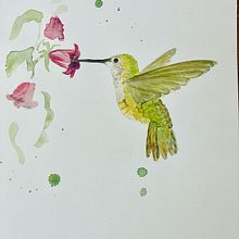 My project in Naturalist Bird Illustration with Watercolors course. Traditional illustration, Watercolor Painting, Realistic Drawing, and Naturalistic Illustration project by Teres D - 01.31.2022