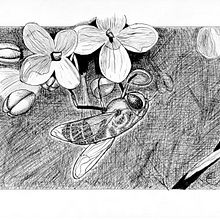 Mi Proyecto del curso: Ilustración con tinta y plumilla: captura el mundo natural. Sketching, Drawing, Artistic Drawing, Sketchbook, Ink Illustration, and Naturalistic Illustration project by Eduardo Martínez Sotillos - 01.31.2022