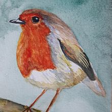 My project in Artistic Watercolor Techniques for Illustrating Birds course. Projekt z dziedziny Trad, c, jna ilustracja, Malowanie akwarelą, R, sunek realist, czn, Ilustracja naturalist i czna użytkownika wiehermal - 01.02.2022