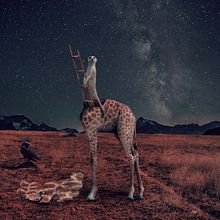 Mi Proyecto del curso: Fotomontaje e ilustraciones fantásticas en Photoshop. Een project van Fotografie, Retoucheren van foto's, Digitale illustratie, Fotografische compositie, Fotomontage y Collage van Nechita Radu - 01.02.2022