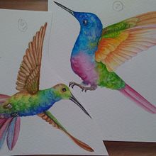 Colibríes. Traditional illustration, Fine Arts, Drawing, and Creativit project by Mónica Ochoa de Muñoz - 02.01.2022