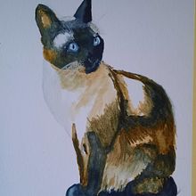 Mijn poes in aquarel. Watercolor Painting project by Mariet van de Waarsenburg - 01.26.2022