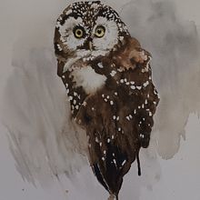 Mein Kursprojekt: Naturalistische Aquarelle mit Ausdruck und Charakter. Traditional illustration, Watercolor Painting, and Naturalistic Illustration project by Carmen Bezençon - 07.17.2022