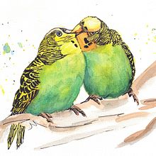My project in Artistic Watercolor Techniques for Illustrating Birds course Ein Projekt aus dem Bereich Traditionelle Illustration, Aquarellmalerei, Realistische Zeichnung und Naturalistische Illustration von jderoder - 02.02.2022