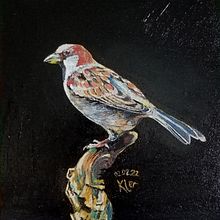 My project in Classical Oil Painting for Naturalist Bird Portraiture course. Un projet de Beaux Arts, Peinture, Peinture à l'huile et Illustration naturaliste de Svetlana Volchak - 01.02.2022