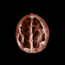 Food Heals. Design, Advertising, Br, ing & Identit project by Gitanos - 02.02.2022