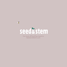 Seed & Stem. Projekt z dziedziny Trad, c, jna ilustracja i Animacje 2D użytkownika adan_renaud - 30.03.2020