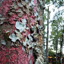 Encuentros Ein Projekt aus dem Bereich Fotografie, Bildende Künste und Artistische Fotografie von Elisa Lahitte Eberbach - 29.07.2017