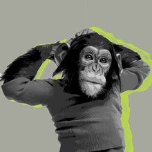 Chimp Poster Graphic desing Ein Projekt aus dem Bereich Design, Kunstleitung und Design von Figuren von Natalie NVM - 02.03.2022