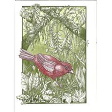 Mon projet du cours : Illustration à l'encre et à la plume : représentez le monde naturel. Sketching, Drawing, Artistic Drawing, Sketchbook, Ink Illustration, and Naturalistic Illustration project by Maud Chabod - 02.03.2022