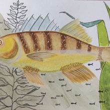 Meu projeto do curso: Ilustração de universos marinhos em aquarelas. Traditional illustration, Painting, Watercolor Painting, and Naturalistic Illustration project by Dionatan Ferri Padilha - 02.03.2022