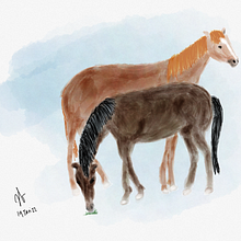 Horses. Un projet de Illustration traditionnelle de hei_ong - 04.02.2022