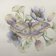 Mój projekt z kursu: Rysunek naturalistyczny i kompozycja w akwareli. Een project van Traditionele illustratie,  Tekening, Aquarelschilderen y Naturalistische illustratie van mariolah - 04.02.2022