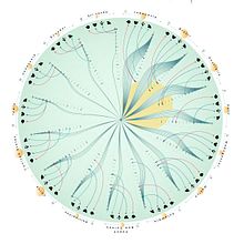 Endemic species by country. Projekt z dziedziny Projektowanie informacji, Projektowanie interakt, wne i Infografika użytkownika Pilar Hernández - 30.01.2022