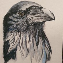 Collection Ravens in watercolor. Un progetto di Pittura ad acquerello, Belle arti, Illustrazione tradizionale, Bozzetti e Disegno realistico di Henriëtte Doornwaard - 04.02.2022