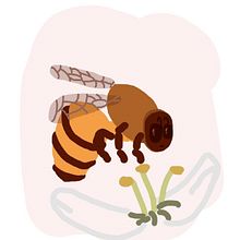 Abelhinha. Un progetto di Illustrazione tradizionale di Bruninha Nobrega de Alcantara - 04.02.2022