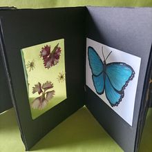 Mi Proyecto del curso: Encuadernación sin pliegues de tu obra gráfica. Artesanato, Artes plásticas, Encadernação, e DIY projeto de Carolina Capurro - 04.02.2022