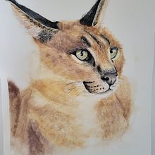 My project in Expressive Animal Portraits in Watercolor course. Traditional illustration, Watercolor Painting, Realistic Drawing, and Naturalistic Illustration project by Edit Mason - 02.08.2022