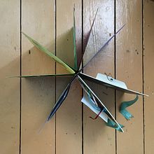 Mon projet du cours : Création d'un album d'illustrations avec la technique du scrapbooking. Un proyecto de Papercraft, Creatividad y Collage de Marthe Taillon - 05.02.2022