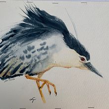 My project in Naturalist Watercolor with Expression and Personality course . Ilustrație tradițională, Pictură în acuarelă & Ilustrație naturalistă de Lori Tews - 02.05.2022