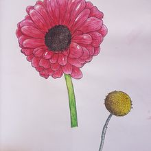 My project in Botanical Sketchbooking: A Meditative Approach course. Un proyecto de Ilustración tradicional, Bocetado, Dibujo, Pintura a la acuarela, Ilustración botánica y Sketchbook de Stephen Tobin - 06.02.2022