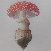 Mi Proyecto del curso: Ilustración de elementos naturales en acuarela. Traditional illustration, Watercolor Painting, and Naturalistic Illustration project by miriam_him - 02.06.2022