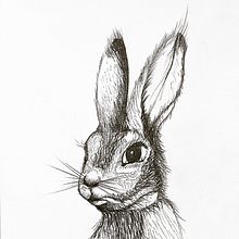 Hare sketch. Un progetto di Illustrazione tradizionale di lepinink - 07.02.2022