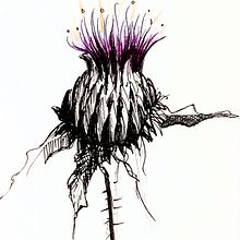 Thistle sketch. Un progetto di Illustrazione tradizionale di lepinink - 07.02.2022